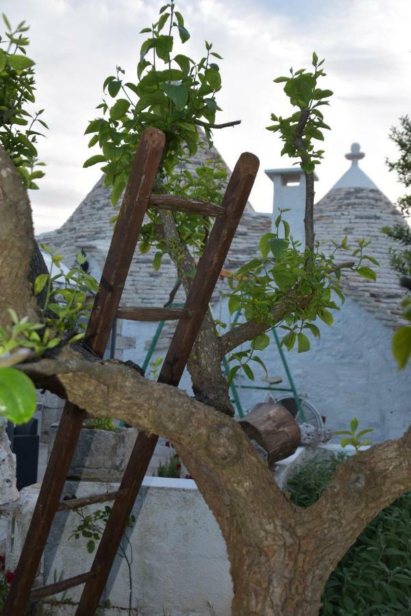 Trulli Di Una Volta Alberobello Exteriör bild